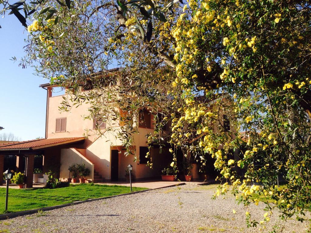 Appartamenti Gli Ulivi Di Maremma Gavorrano Exterior photo